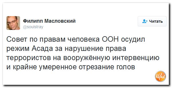 "Мыздобулы" в картинках. Смешных и не очень... 2-10-2016