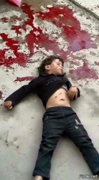 "Мыздобулы" в картинках. Смешных и не очень... 2-10-2016