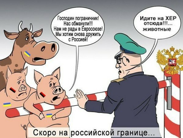 "Мыздобулы" в картинках. Смешных и не очень... 2-10-2016