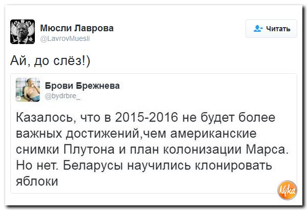 "Мыздобулы" в картинках. Смешных и не очень... 2-10-2016