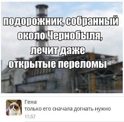 "Мыздобулы" в картинках. Смешных и не очень... 2-10-2016