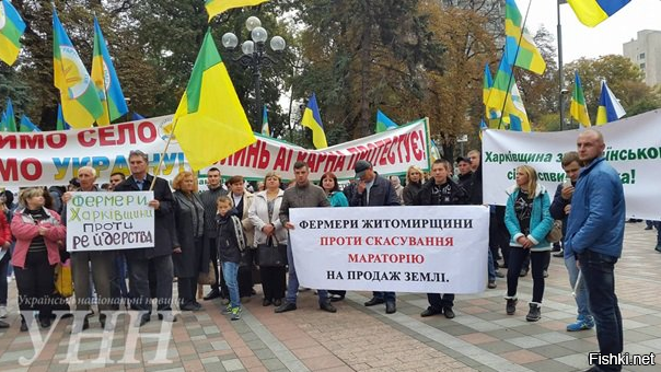 Всеукраинская забастовка у Верховной рады. Предусматривает ли политика Украины запрет на продажу земли? Всеукраинская забастовка у Верховной рады. Предусматривает ли политика Украины запрет на продажу земли?