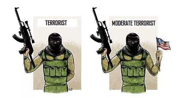 Почему американцы могут разделить "умеренную" и "неумеренную" оппозицию, а другие нет Почему американцы могут разделить "умеренную" и "неумеренную" оппозицию, а другие нет