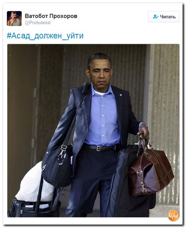 "Мыздобулы" в картинках. Смешных и не очень... 5-10-2016 "Мыздобулы" в картинках. Смешных и не очень... 5-10-2016