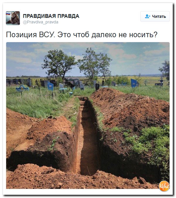 "Мыздобулы" в картинках. Смешных и не очень... 5-10-2016 "Мыздобулы" в картинках. Смешных и не очень... 5-10-2016