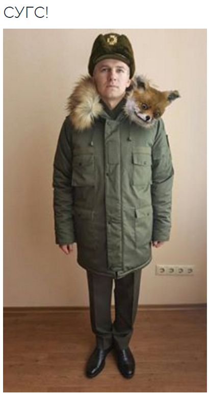 "Мыздобулы" в картинках. Смешных и не очень... 6-10-2016 "Мыздобулы" в картинках. Смешных и не очень... 6-10-2016