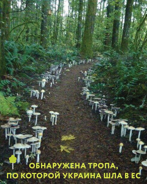 "Мыздобулы" в картинках. Смешных и не очень... 6-10-2016 "Мыздобулы" в картинках. Смешных и не очень... 6-10-2016