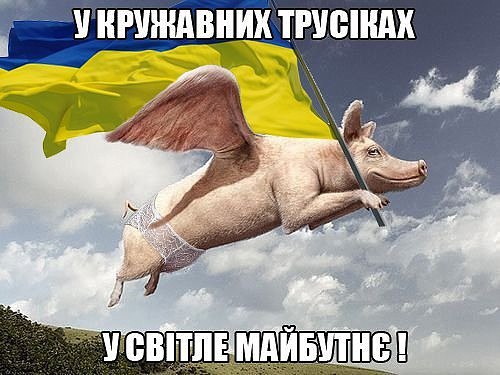 "Мыздобулы" в картинках. Смешных и не очень... 6-10-2016 "Мыздобулы" в картинках. Смешных и не очень... 6-10-2016