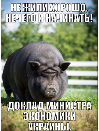 "Мыздобулы" в картинках. Смешных и не очень... 6-10-2016 "Мыздобулы" в картинках. Смешных и не очень... 6-10-2016