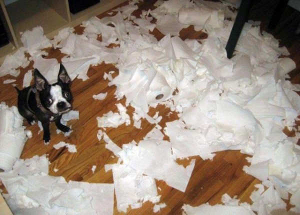 Про тузиков, рвущих Россию, как грелку... Про тузиков, рвущих Россию, как грелку...