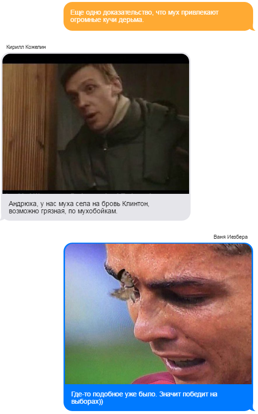 В "Твиттере" муху Клинтон разоблачили как шпиона-агента Кремля. Как соцсети отреагировали на муху В "Твиттере" муху Клинтон разоблачили как шпиона-агента Кремля. Как соцсети отреагировали на муху