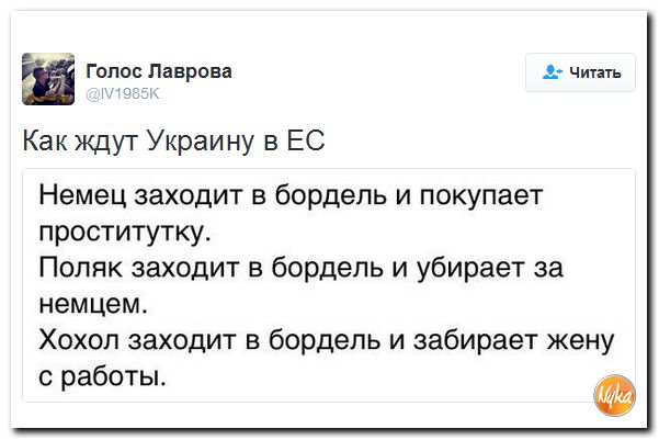 "Мыздобулы" в картинках. Смешных и не очень... 10-10-2016