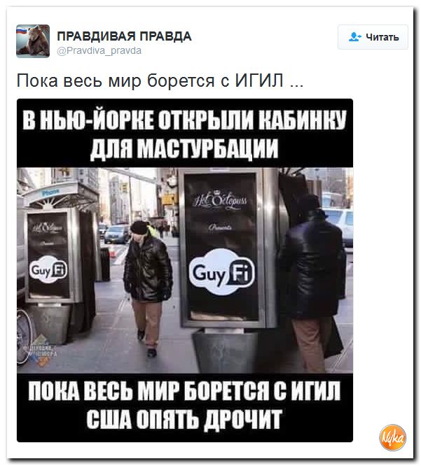 "Мыздобулы" в картинках. Смешных и не очень... 10-10-2016