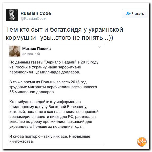 "Мыздобулы" в картинках. Смешных и не очень... 10-10-2016