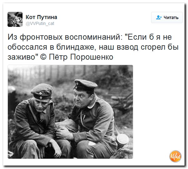 "Мыздобулы" в картинках. Смешных и не очень... 10-10-2016