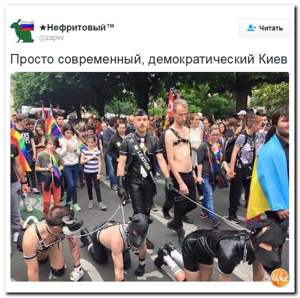 "Мыздобулы" в картинках. Смешных и не очень... 10-10-2016