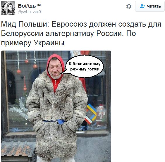 "Мыздобулы" в картинках. Смешных и не очень... 10-10-2016