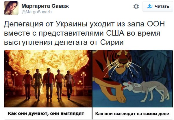 "Мыздобулы" в картинках. Смешных и не очень... 10-10-2016