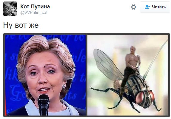 "Мыздобулы" в картинках. Смешных и не очень... 11-10-2016 "Мыздобулы" в картинках. Смешных и не очень... 11-10-2016