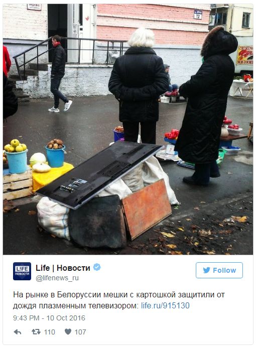 "Мыздобулы" в картинках. Смешных и не очень... 11-10-2016 "Мыздобулы" в картинках. Смешных и не очень... 11-10-2016