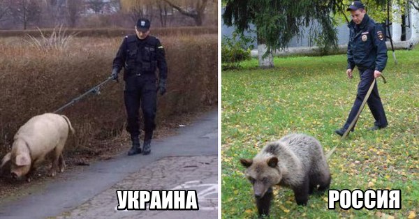 "Мыздобулы" в картинках. Смешных и не очень... 11-10-2016 "Мыздобулы" в картинках. Смешных и не очень... 11-10-2016