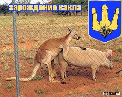 "Мыздобулы" в картинках. Смешных и не очень... 11-10-2016 "Мыздобулы" в картинках. Смешных и не очень... 11-10-2016