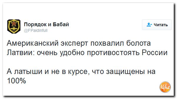 "Мыздобулы" в картинках. Смешных и не очень... 11-10-2016 "Мыздобулы" в картинках. Смешных и не очень... 11-10-2016