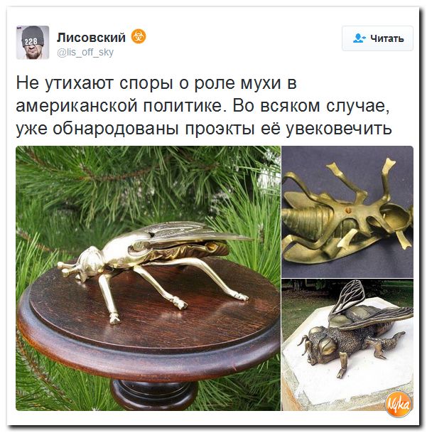 "Мыздобулы" в картинках. Смешных и не очень... 13-10-2016 "Мыздобулы" в картинках. Смешных и не очень... 13-10-2016