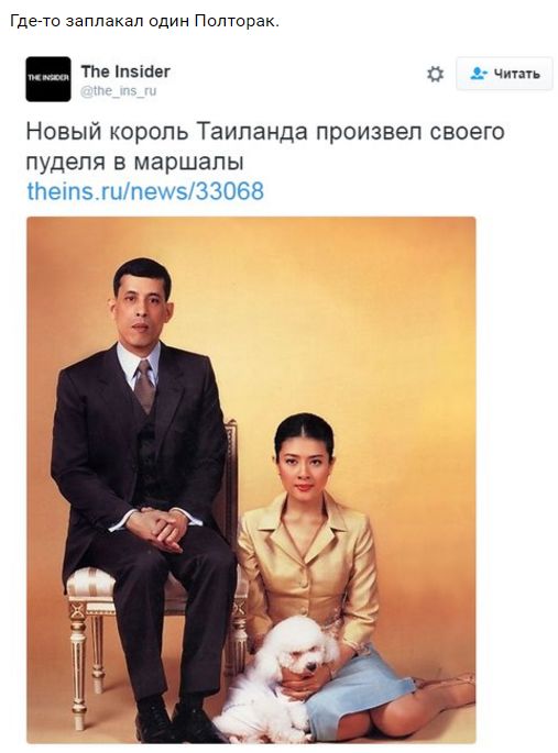 "Мыздобулы" в картинках. Смешных и не очень... 13-10-2016 "Мыздобулы" в картинках. Смешных и не очень... 13-10-2016