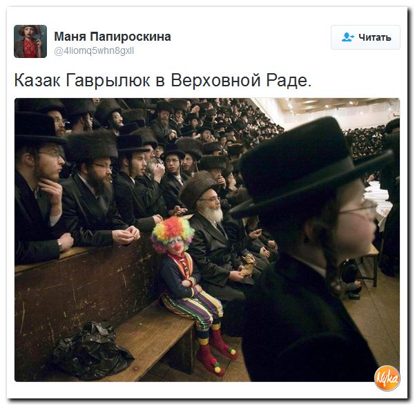 "Мыздобулы" в картинках. Смешных и не очень... 13-10-2016 "Мыздобулы" в картинках. Смешных и не очень... 13-10-2016