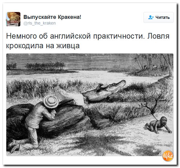 "Мыздобулы" в картинках. Смешных и не очень... 13-10-2016 "Мыздобулы" в картинках. Смешных и не очень... 13-10-2016