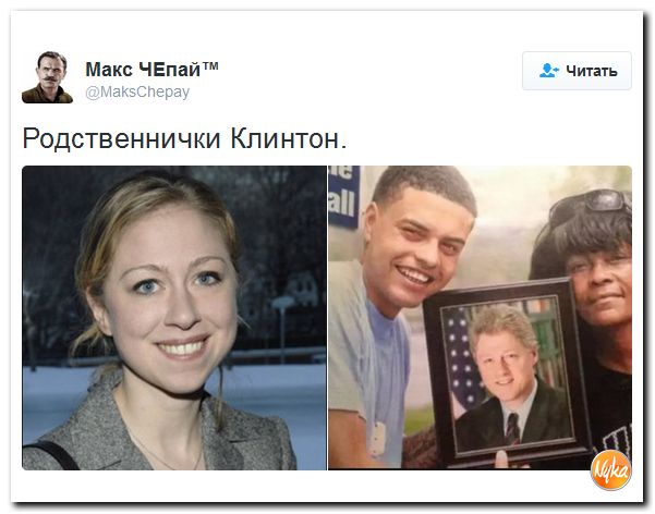 "Мыздобулы" в картинках. Смешных и не очень... 13-10-2016 "Мыздобулы" в картинках. Смешных и не очень... 13-10-2016