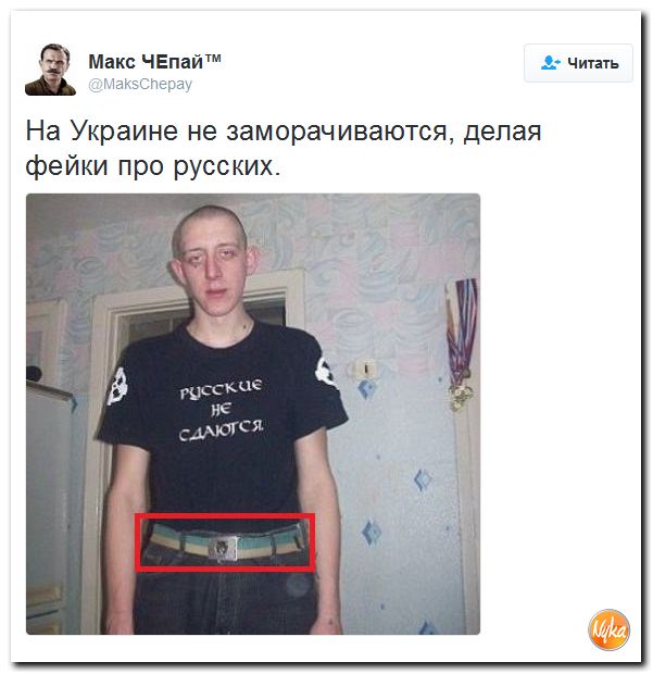 "Мыздобулы" в картинках. Смешных и не очень... 13-10-2016 "Мыздобулы" в картинках. Смешных и не очень... 13-10-2016