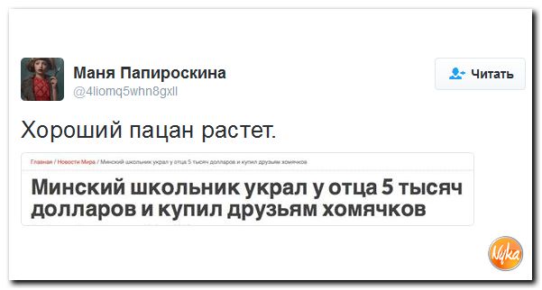 "Мыздобулы" в картинках. Смешных и не очень... 13-10-2016 "Мыздобулы" в картинках. Смешных и не очень... 13-10-2016