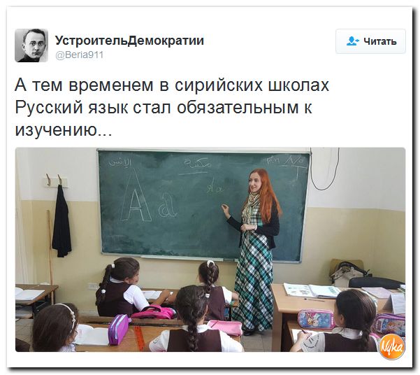 "Мыздобулы" в картинках. Смешных и не очень... 13-10-2016 "Мыздобулы" в картинках. Смешных и не очень... 13-10-2016