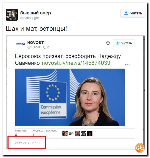 "Мыздобулы" в картинках. Смешных и не очень... 13-10-2016 "Мыздобулы" в картинках. Смешных и не очень... 13-10-2016