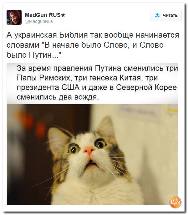 "Мыздобулы" в картинках. Смешных и не очень... 13-10-2016 "Мыздобулы" в картинках. Смешных и не очень... 13-10-2016