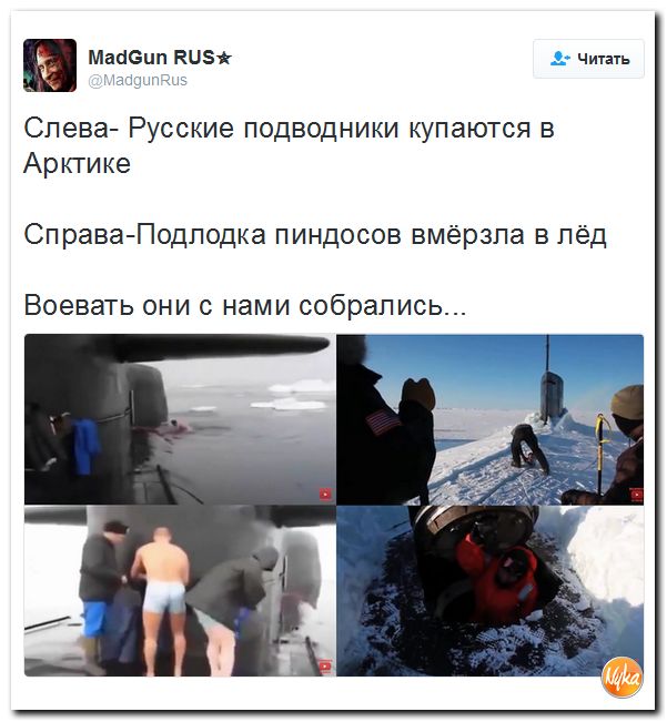 "Мыздобулы" в картинках. Смешных и не очень... 13-10-2016 "Мыздобулы" в картинках. Смешных и не очень... 13-10-2016