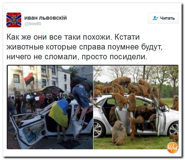 "Мыздобулы" в картинках. Смешных и не очень... 13-10-2016 "Мыздобулы" в картинках. Смешных и не очень... 13-10-2016