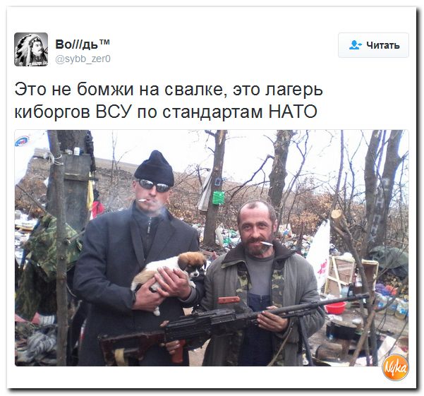 "Мыздобулы" в картинках. Смешных и не очень... 15-10-2016 "Мыздобулы" в картинках. Смешных и не очень... 15-10-2016