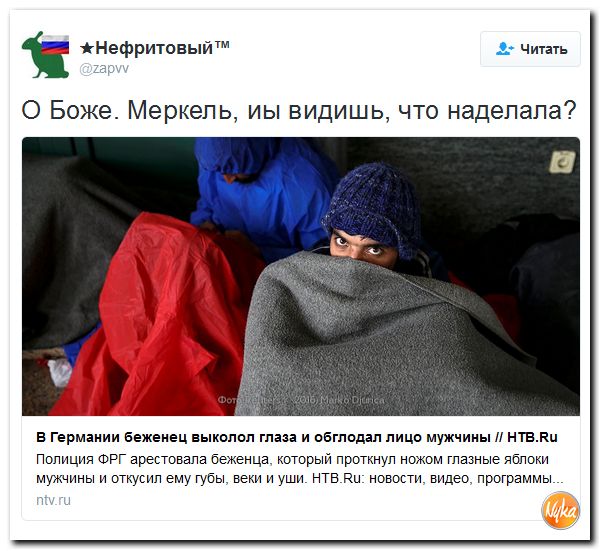 "Мыздобулы" в картинках. Смешных и не очень... 15-10-2016 "Мыздобулы" в картинках. Смешных и не очень... 15-10-2016