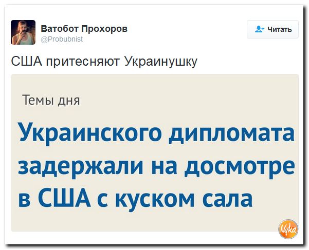 "Мыздобулы" в картинках. Смешных и не очень... 15-10-2016 "Мыздобулы" в картинках. Смешных и не очень... 15-10-2016