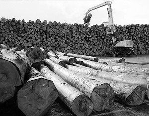 Украине придется принять «лесной ультиматум» Евросоюза