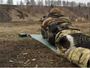 Суровый сепарский кот...