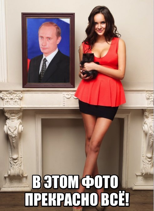 "Мыздобулы" в картинках. Смешных и не очень... 21-10-2016 "Мыздобулы" в картинках. Смешных и не очень... 21-10-2016