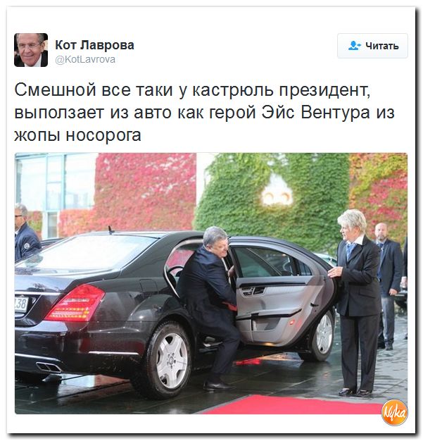 "Мыздобулы" в картинках. Смешных и не очень... 21-10-2016 "Мыздобулы" в картинках. Смешных и не очень... 21-10-2016