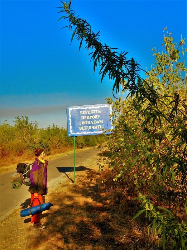 "Мыздобулы" в картинках. Смешных и не очень... 21-10-2016 "Мыздобулы" в картинках. Смешных и не очень... 21-10-2016