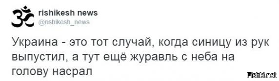 "Мыздобулы" в картинках. Смешных и не очень... 21-10-2016 "Мыздобулы" в картинках. Смешных и не очень... 21-10-2016