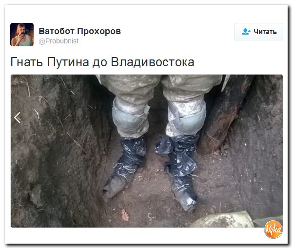 "Мыздобулы" в картинках. Смешных и не очень... 21-10-2016 "Мыздобулы" в картинках. Смешных и не очень... 21-10-2016