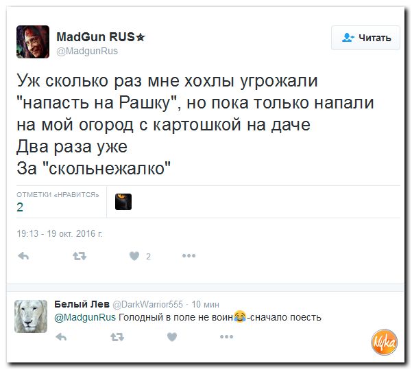 "Мыздобулы" в картинках. Смешных и не очень... 21-10-2016 "Мыздобулы" в картинках. Смешных и не очень... 21-10-2016